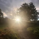 Πανσιόν In Campagna 3*