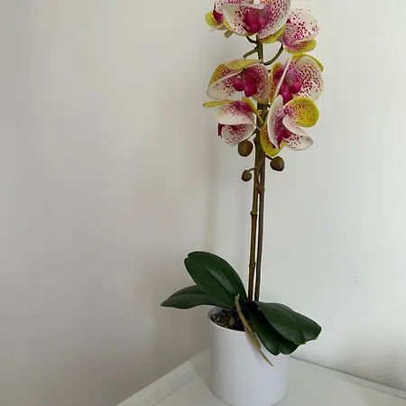 In Campagna Vendégház