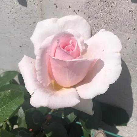 Maison d'hôtes In Campagna Besozzo