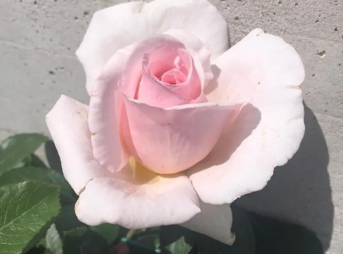 Penzion In Campagna Besozzo